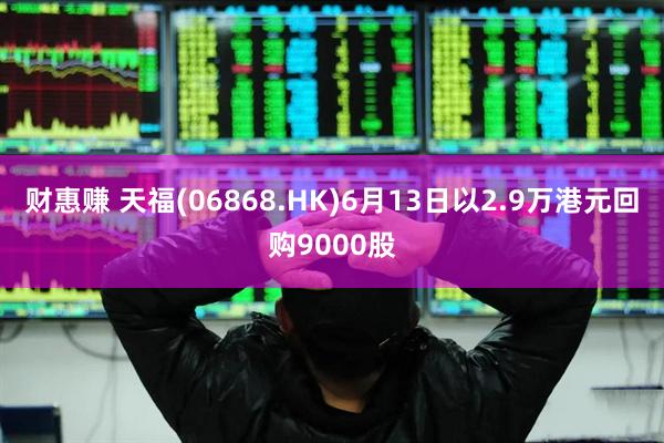 财惠赚 天福(06868.HK)6月13日以2.9万港元回购9000股