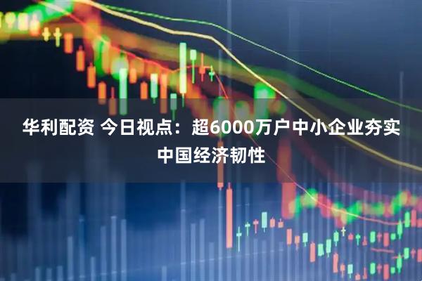 华利配资 今日视点：超6000万户中小企业夯实中国经济韧性