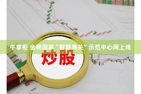 牛掌柜 金砖国家“智慧海关”示范中心网上线