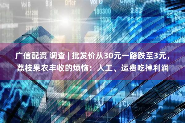 广信配资 调查 | 批发价从30元一路跌至3元，荔枝果农丰收的烦恼：人工、运费吃掉利润