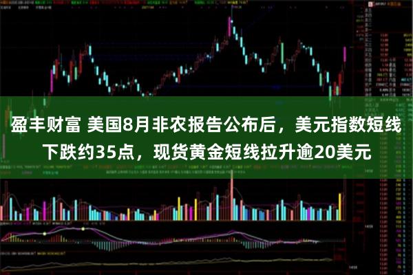 盈丰财富 美国8月非农报告公布后，美元指数短线下跌约35点，现货黄金短线拉升逾20美元